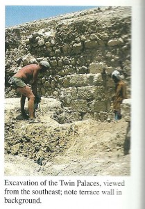 David Stacey doing very fine work riding Paddy's motor-bike - or in this case an Israeli army entrenching tool - hammering through mud brick collapse from the 31 BCE earthquake in the twin palace. Curtsy of David Stacey. 
