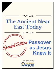 Cover_The Ancient NearEast Today copy