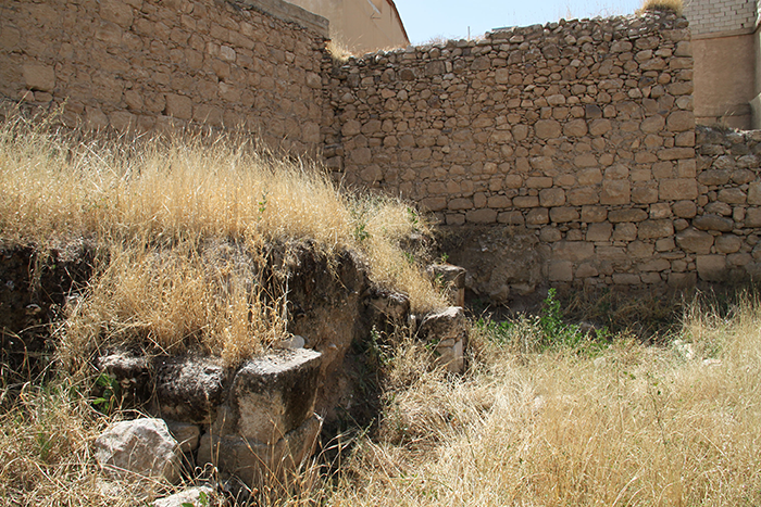 Figure 2: Photo of the area before excavation.