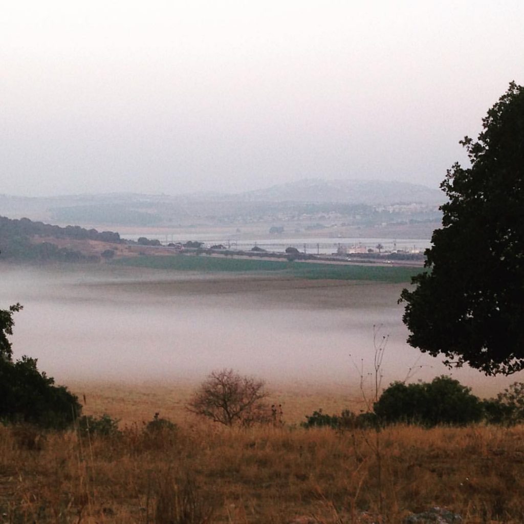 Misty morning at Shikhin.